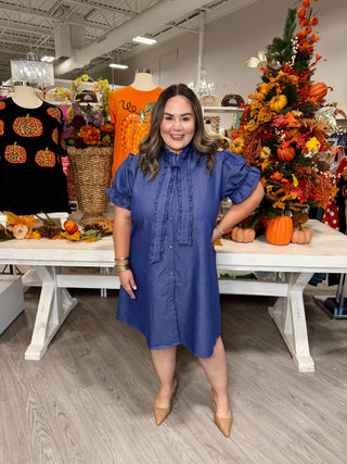 McKenzie Dress- Denim