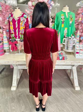 LARISSA VELVET DRESS