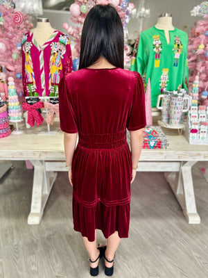 LARISSA VELVET DRESS