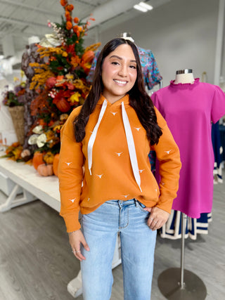 Texas Embroidered Fleece Hoodie