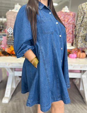 MAYRA DENIM DRESS