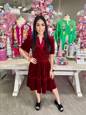 LARISSA VELVET DRESS