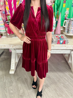 LARISSA VELVET DRESS