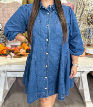 MAYRA DENIM DRESS