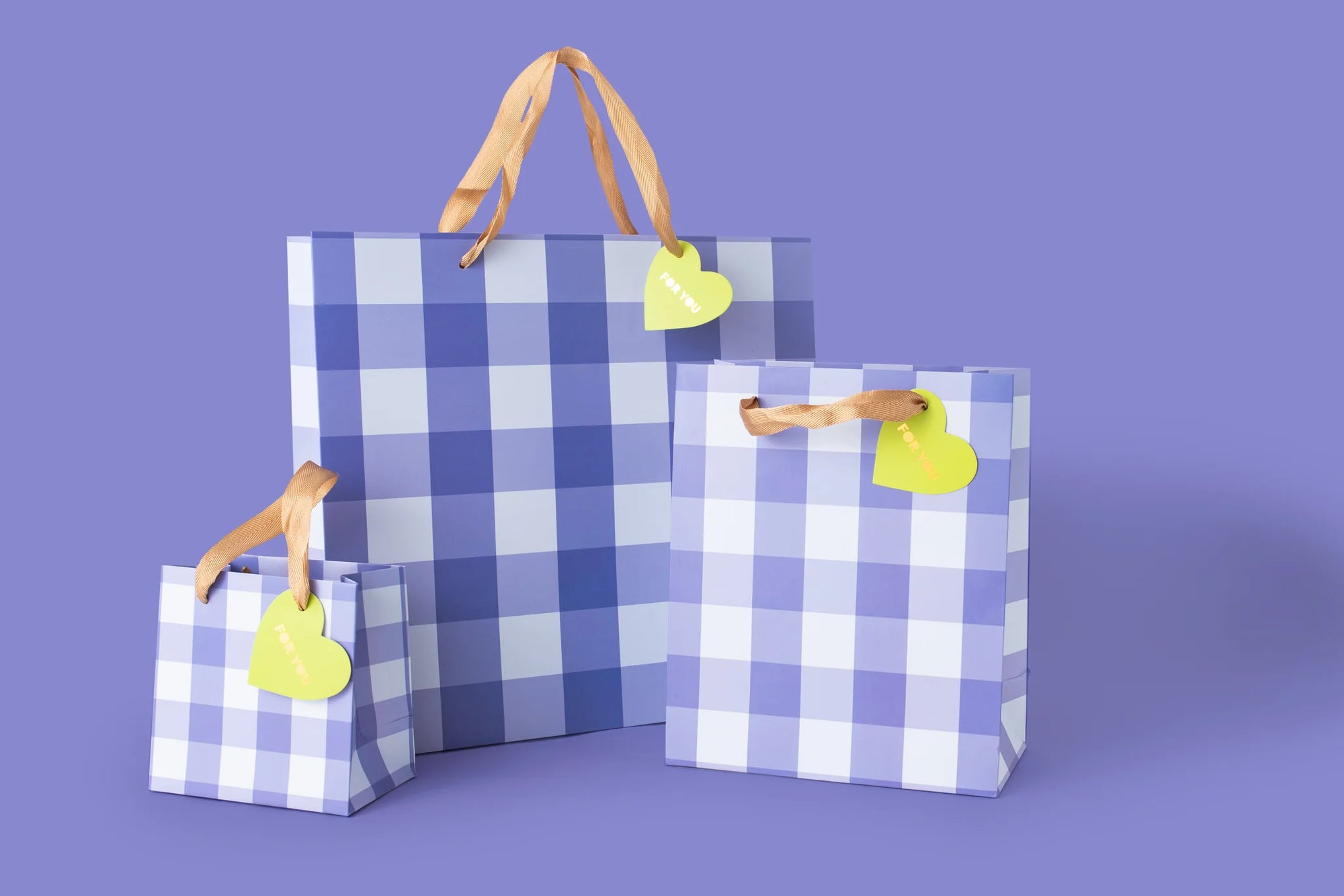 BLUE GINGHAM SMALL GIFT BAG