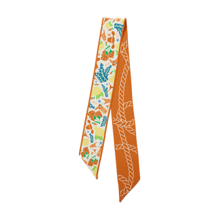 Texas Longhorns Skinny Scarf
