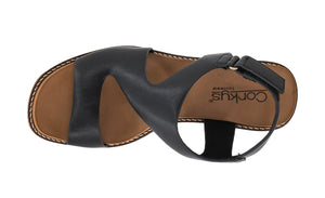 CORKY'S STEPPIN OUT BLACK