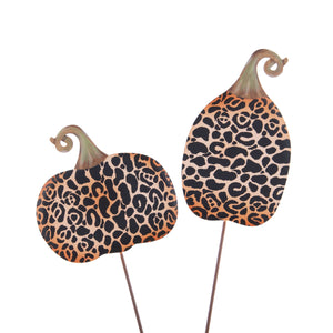 Small Wild Side Leopard Pumpkins