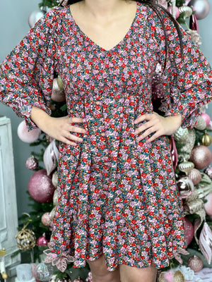 HOLIDAY PICTURE DRESS
