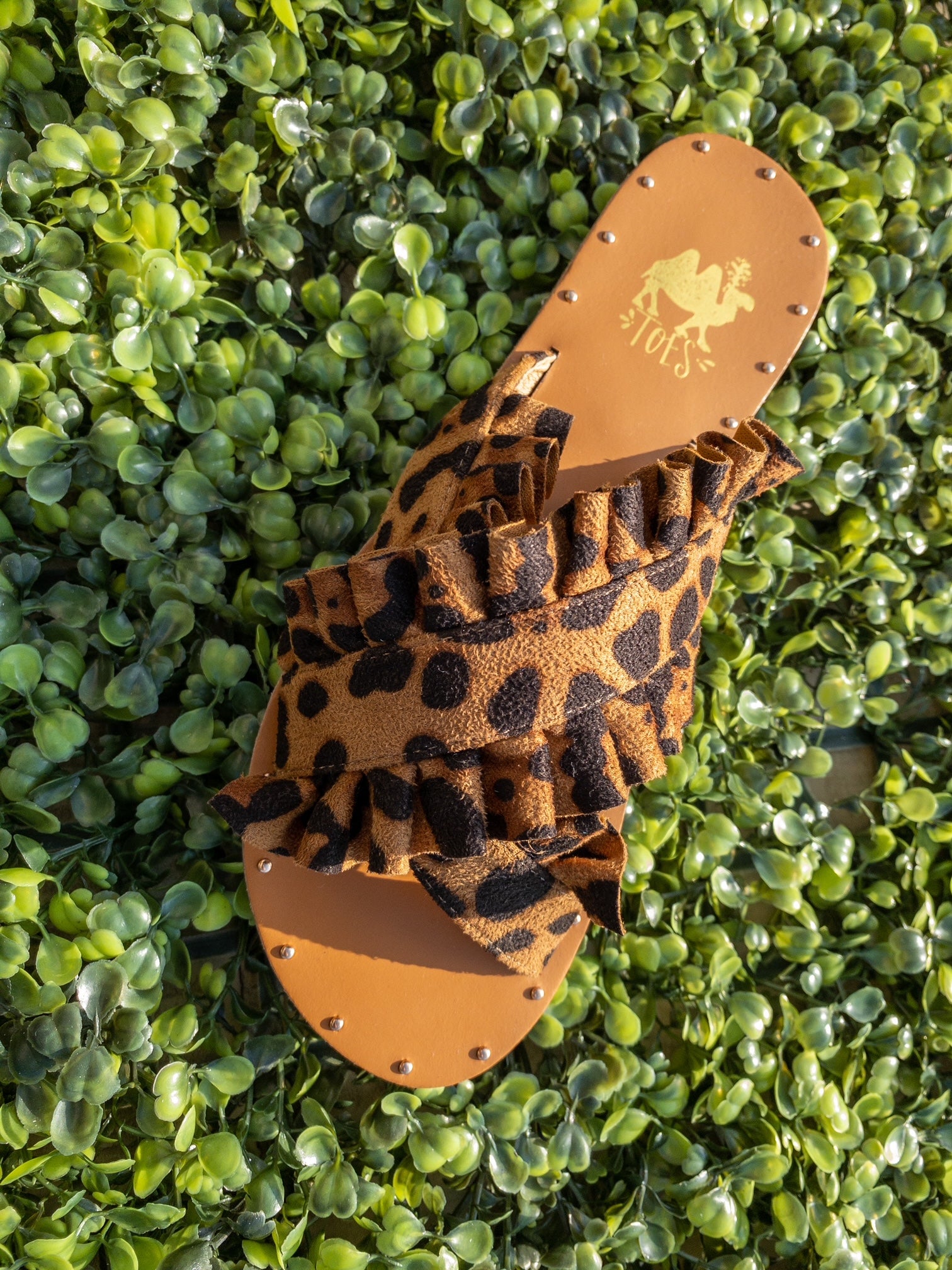 LOLA LEOPARD