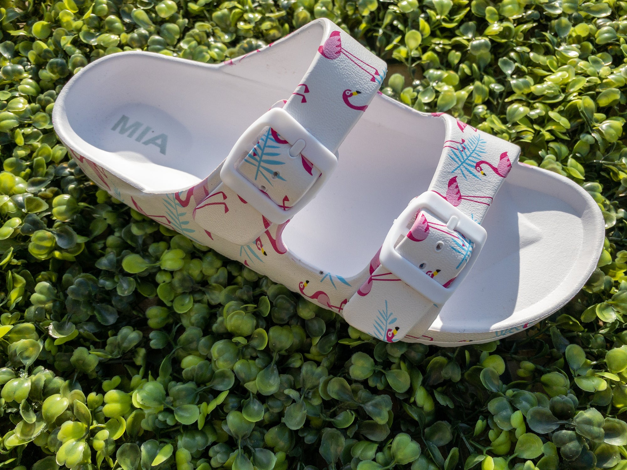 FLAMINGO MIA SLIDES